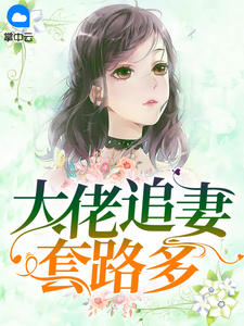 大佬追妻套路多