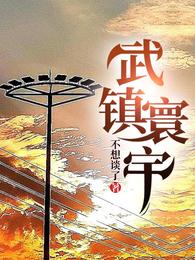 武镇寰宇