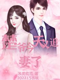楚爷今天又追妻了