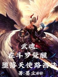 武魂：在斗罗觉醒堕落天使路西法