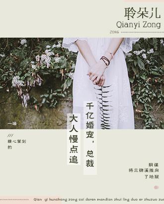 千亿婚宠总裁大人慢点追