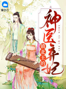 镇北王的神医弃妃