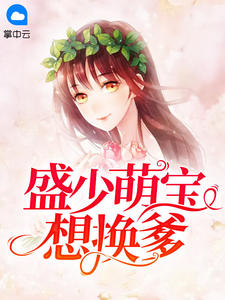 盛少萌宝想换爹