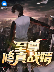 至尊修真战婿