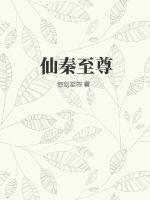 仙秦至尊