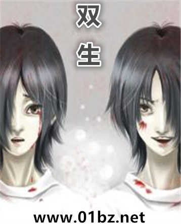 双生h