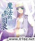 位面猎奴之魔法禁书目录