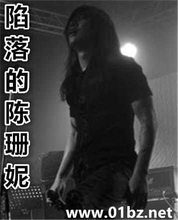 陷落的陈珊妮