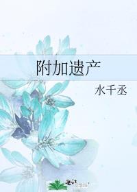 附加遗产