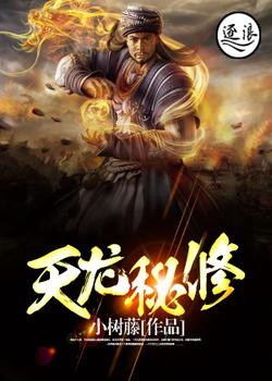 天龙秘修