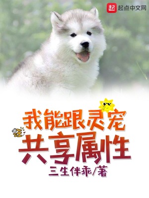 我能跟灵宠共享属性