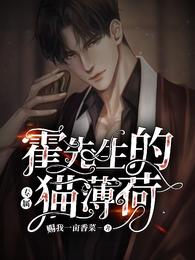 霍先生的专属猫薄荷