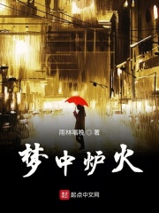 梦中炉火