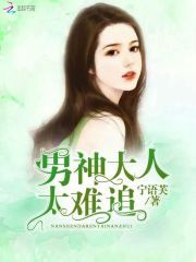 男神大人太难追