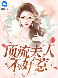 顶流夫人不好惹