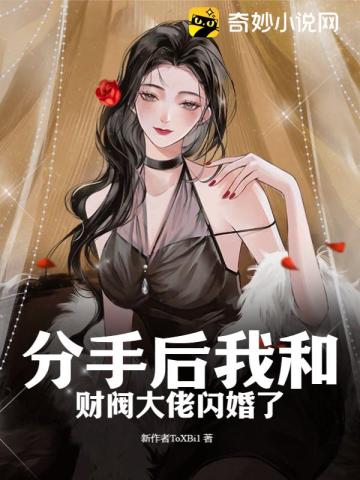 分手后我和财阀大佬闪婚了