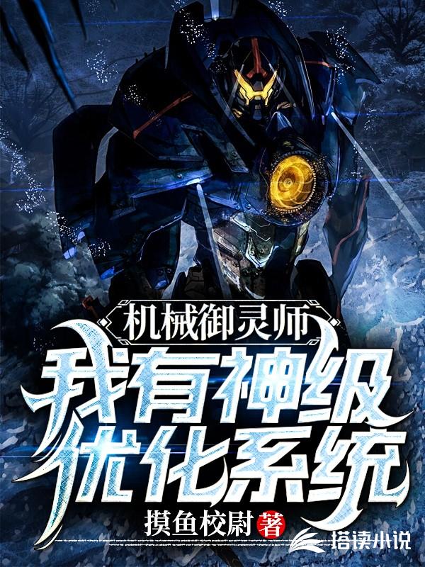 机械御灵师：我有神级优化系统