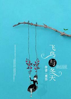 飞鸟与冬天
