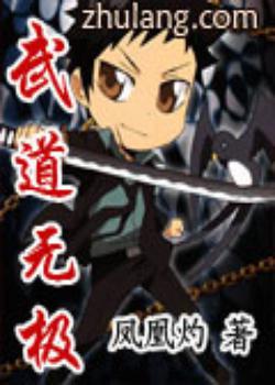 武道无极